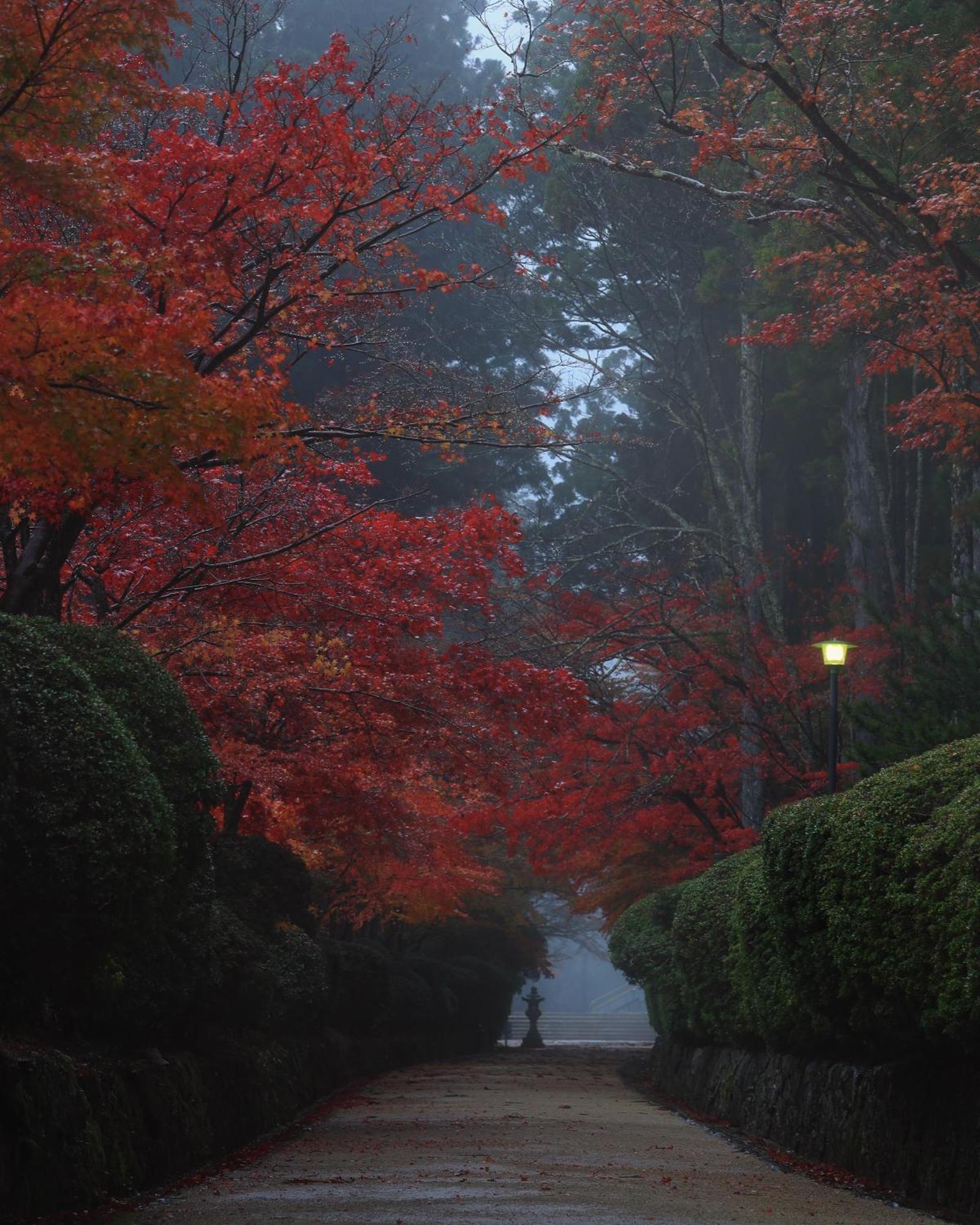 Koyasan Guesthouse Kokuu Zewnętrze zdjęcie