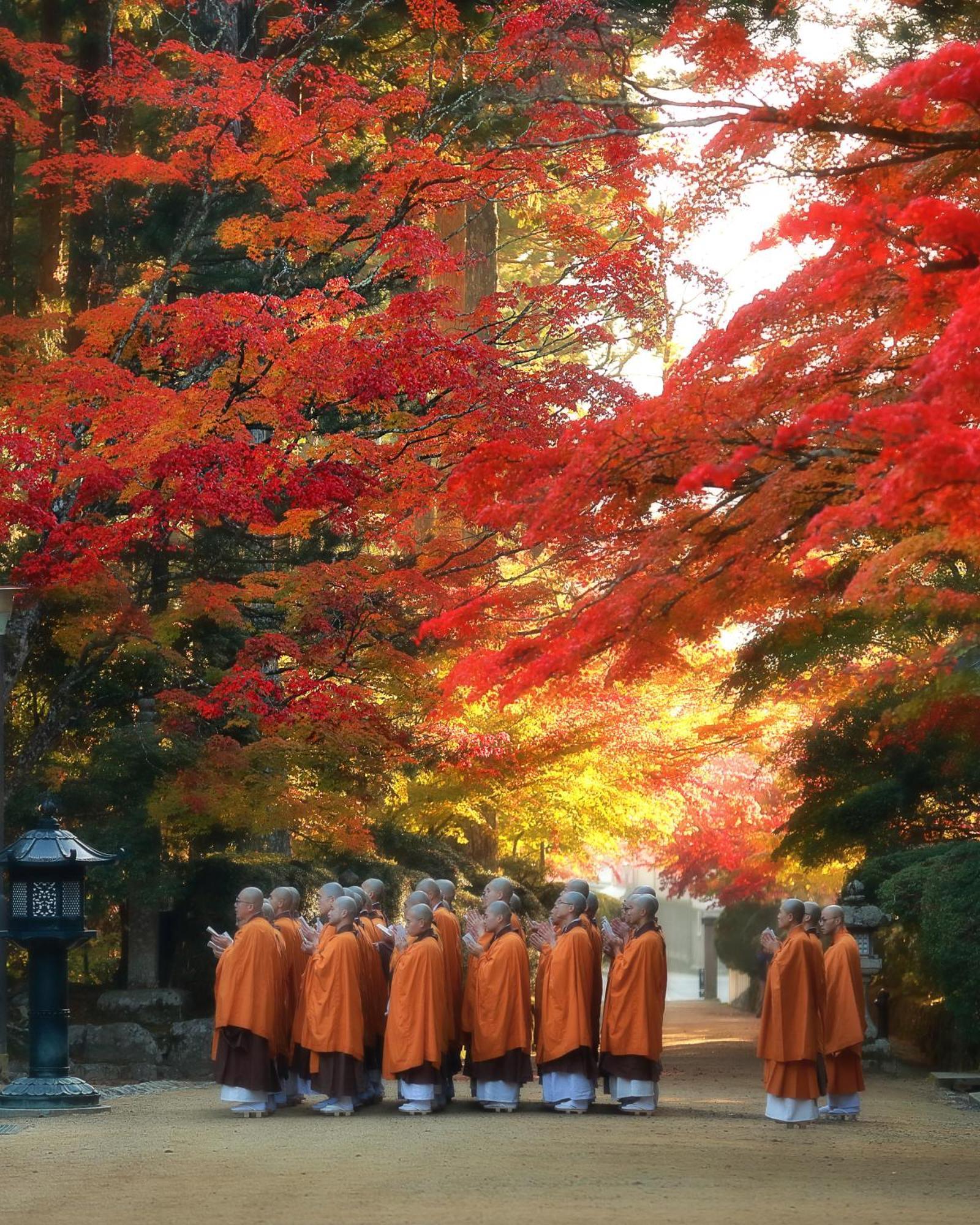 Koyasan Guesthouse Kokuu Zewnętrze zdjęcie