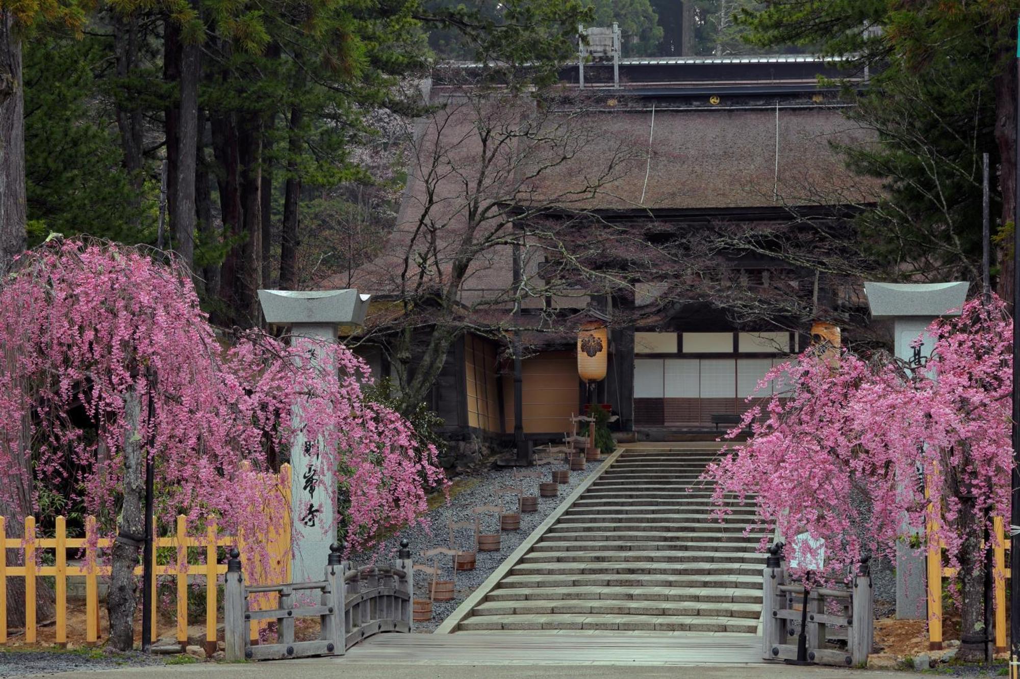 Koyasan Guesthouse Kokuu Zewnętrze zdjęcie